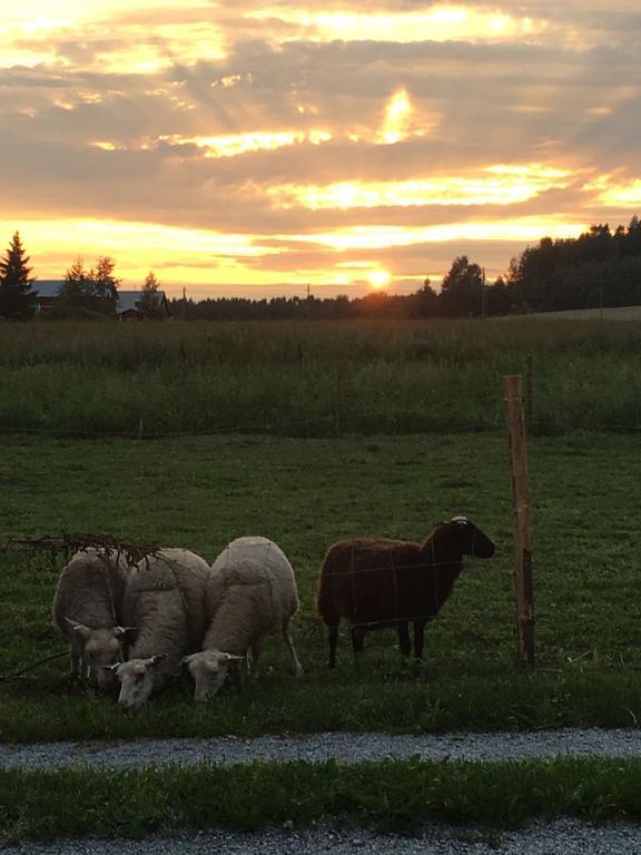 Lomatila Ollila Farm Stay Kerimäki Eksteriør billede