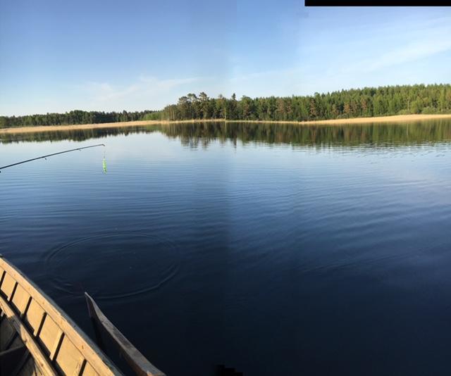 Lomatila Ollila Farm Stay Kerimäki Eksteriør billede